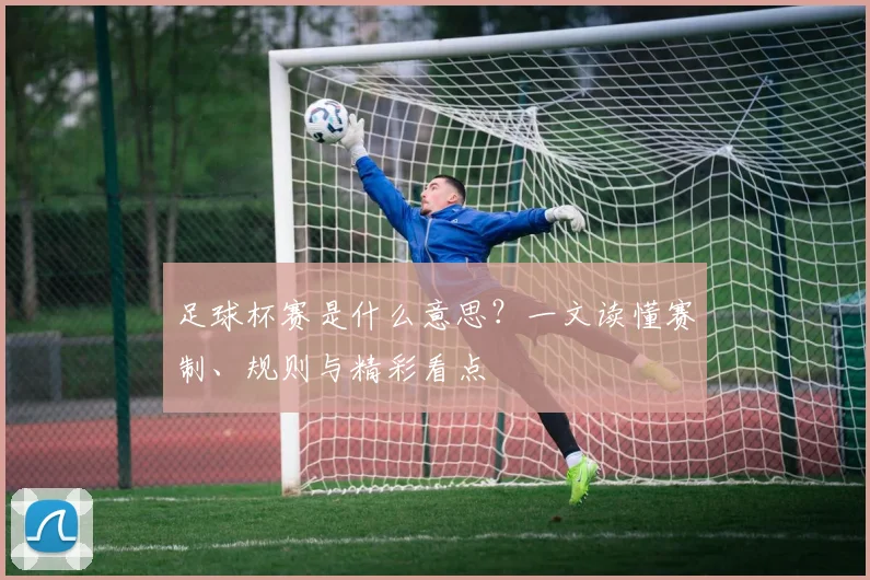 足球杯赛是什么意思？一文读懂赛制、规则与精彩看点